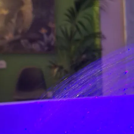 Gasthuis Luxury Glory Tower 4*